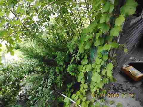 15399 Rosa Parks (8)_m.jpg